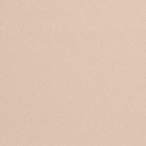 Charlotte - 7947 - Parchment - Fabric by the Yard Parchment