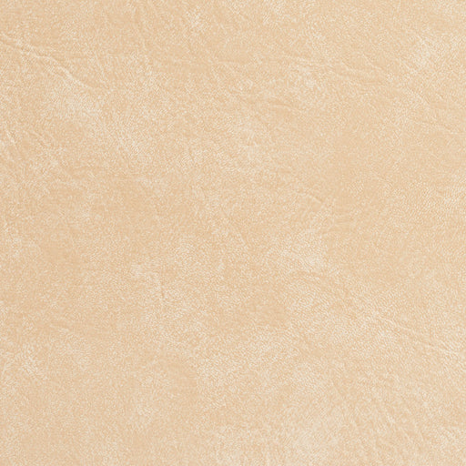 Charlotte - 7949 - Seashell - Fabric by the Yard Seashell