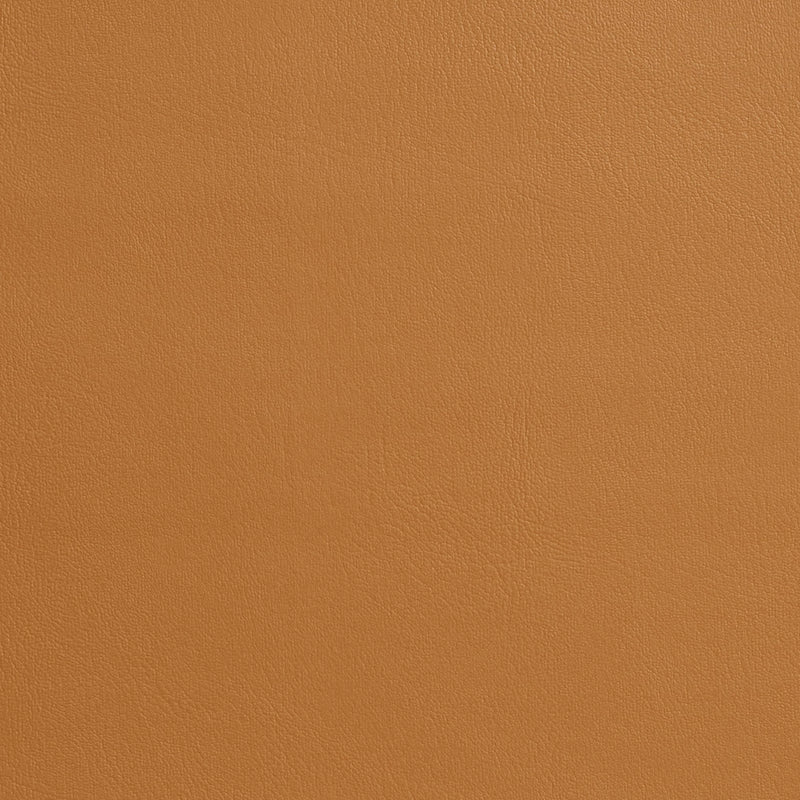 Charlotte - 7969 - Buckskin - Fabric by the Yard Buckskin
