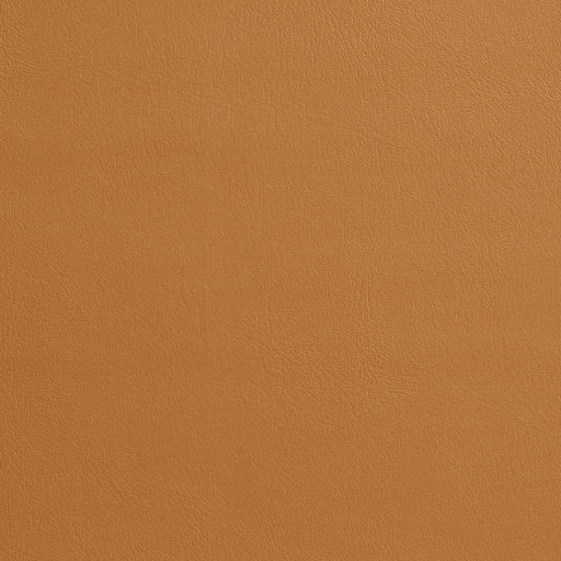 Charlotte - 7969 - Buckskin - Fabric by the Yard Buckskin