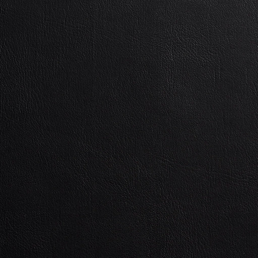 Charlotte - 7978 - Black - Fabric by the Yard Black