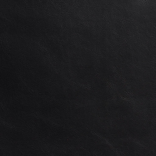 Charlotte - 7984 - Black - Fabric by the Yard Black