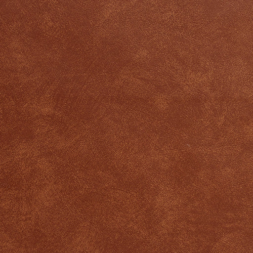 Charlotte - 7985 - Brown - Fabric by the Yard Brown