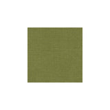 BRUNSCHWIG & FILS - BANKERS LINEN- MEADOW - Fabric by the Yard