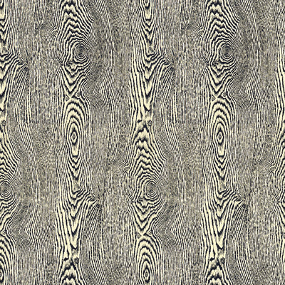 BRUNSCHWIG & FILS - WOOD- INDIGO - Fabric by the Yard - 8013142_5