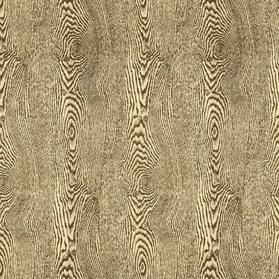 BRUNSCHWIG & FILS - WOOD- BARK - Fabric by the Yard - 8013142_68