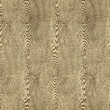 BRUNSCHWIG & FILS - WOOD- BARK - Fabric by the Yard