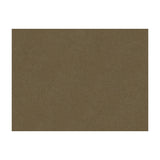 BRUNSCHWIG & FILS - CHEVALIER WOOL- TAUPE - Fabric by the Yard