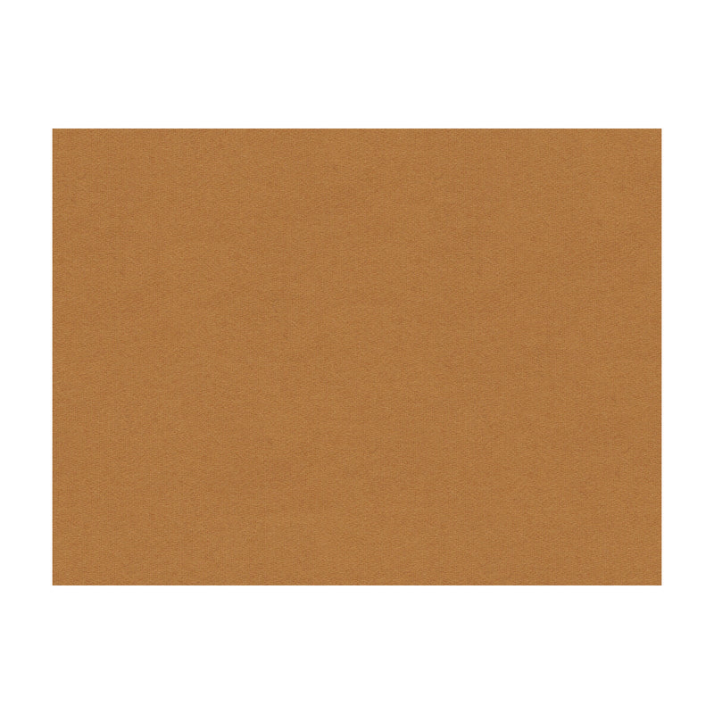 BRUNSCHWIG & FILS - CHEVALIER WOOL- TAN - Fabric by the Yard TAN