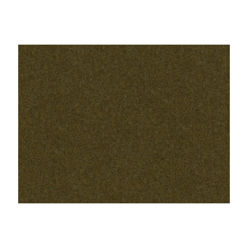 BRUNSCHWIG & FILS - CHEVALIER WOOL- TARAGON - Fabric by the Yard TARAGON