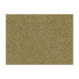 BRUNSCHWIG & FILS - CHEVALIER WOOL- THYME - Fabric by the Yard