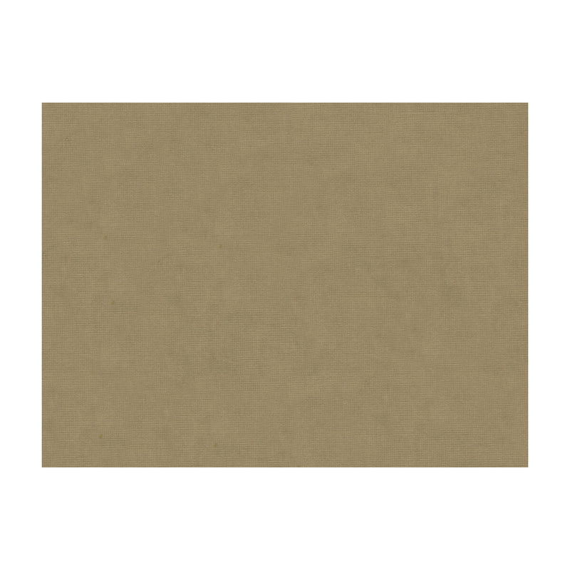 BRUNSCHWIG & FILS - CHARMANT VELVET- COBBLESTONE - Fabric by the Yard COBBLESTONE