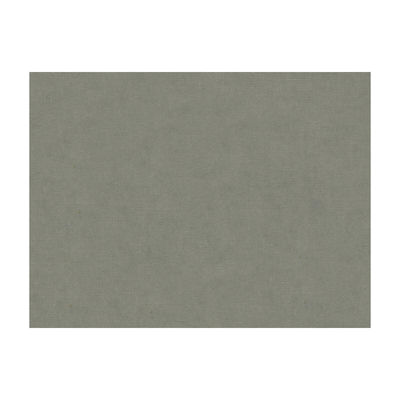 BRUNSCHWIG & FILS - CHARMANT VELVET- PEWTER - Fabric by the Yard PEWTER