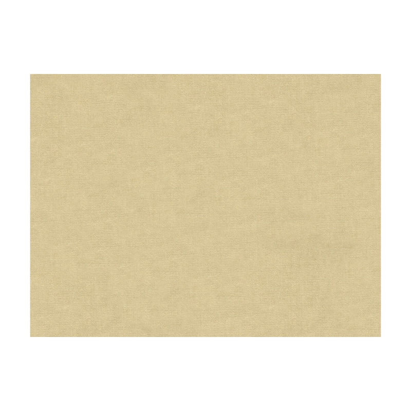 BRUNSCHWIG & FILS - CHARMANT VELVET- ECRU - Fabric by the Yard ECRU