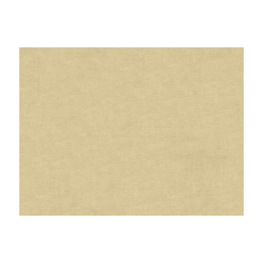 BRUNSCHWIG & FILS - CHARMANT VELVET- ECRU - Fabric by the Yard ECRU