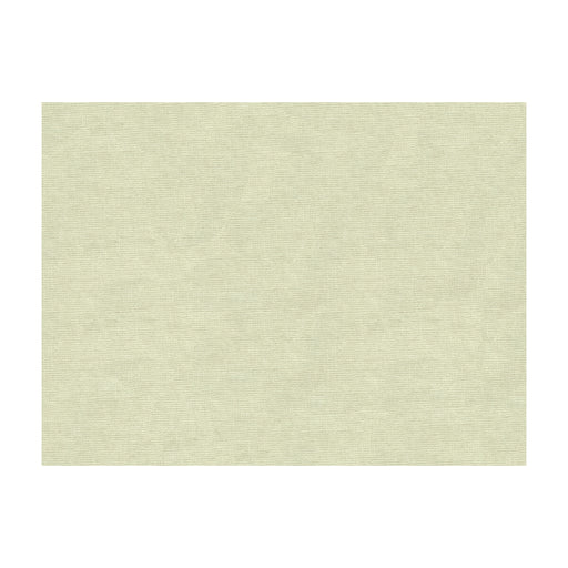 BRUNSCHWIG & FILS - CHARMANT VELVET- OYSTER - Fabric by the Yard OYSTER