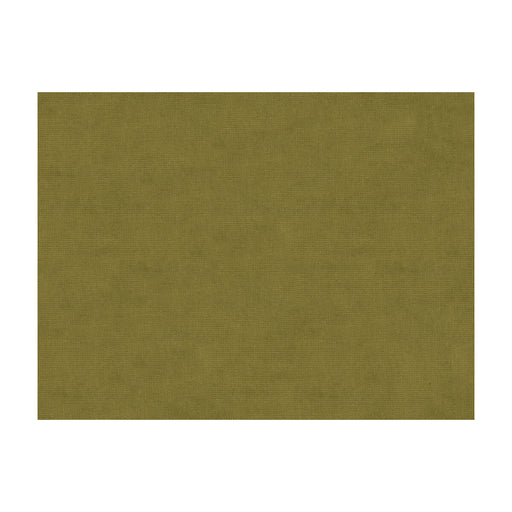 BRUNSCHWIG & FILS - CHARMANT VELVET- OLIVE - Fabric by the Yard OLIVE