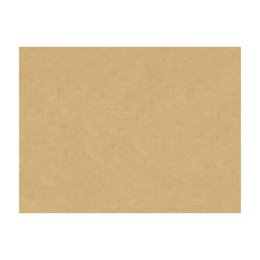 BRUNSCHWIG & FILS - CHARMANT VELVET- NOUGAT - Fabric by the Yard NOUGAT