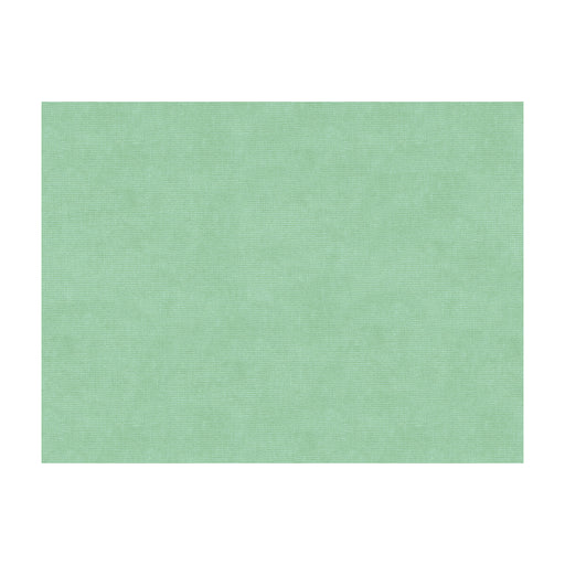 BRUNSCHWIG & FILS - CHARMANT VELVET- AQUA - Fabric by the Yard AQUA