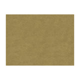 BRUNSCHWIG & FILS - CHARMANT VELVET- DRIFTWOOD - Fabric by the Yard