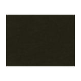 BRUNSCHWIG & FILS - CHARMANT VELVET- COAL - Fabric by the Yard