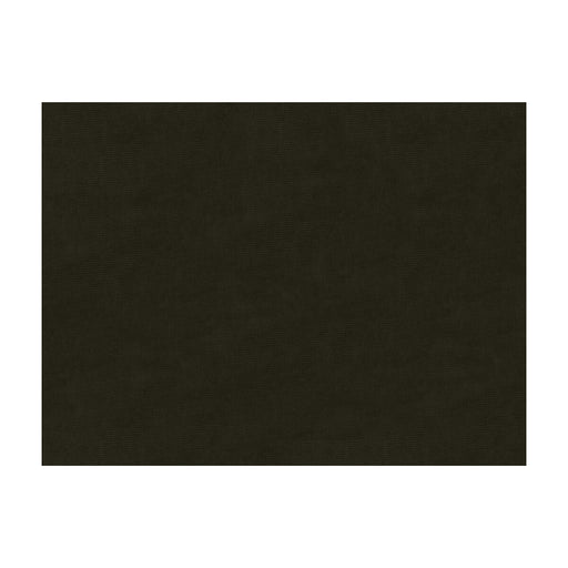 BRUNSCHWIG & FILS - CHARMANT VELVET- COAL - Fabric by the Yard COAL