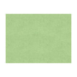 BRUNSCHWIG & FILS - CHARMANT VELVET- CELADON - Fabric by the Yard