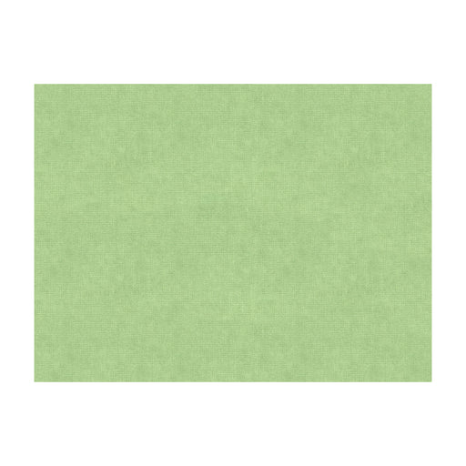 BRUNSCHWIG & FILS - CHARMANT VELVET- CELADON - Fabric by the Yard CELADON