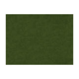 BRUNSCHWIG & FILS - CHARMANT VELVET- PINE - Fabric by the Yard