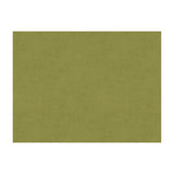 BRUNSCHWIG & FILS - CHARMANT VELVET- FERN - Fabric by the Yard