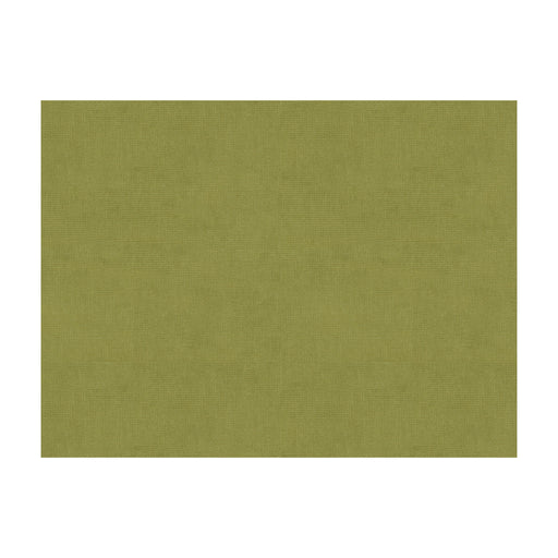 BRUNSCHWIG & FILS - CHARMANT VELVET- FERN - Fabric by the Yard FERN