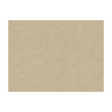 BRUNSCHWIG & FILS - CHARMANT VELVET- MUSHROOM - Fabric by the Yard