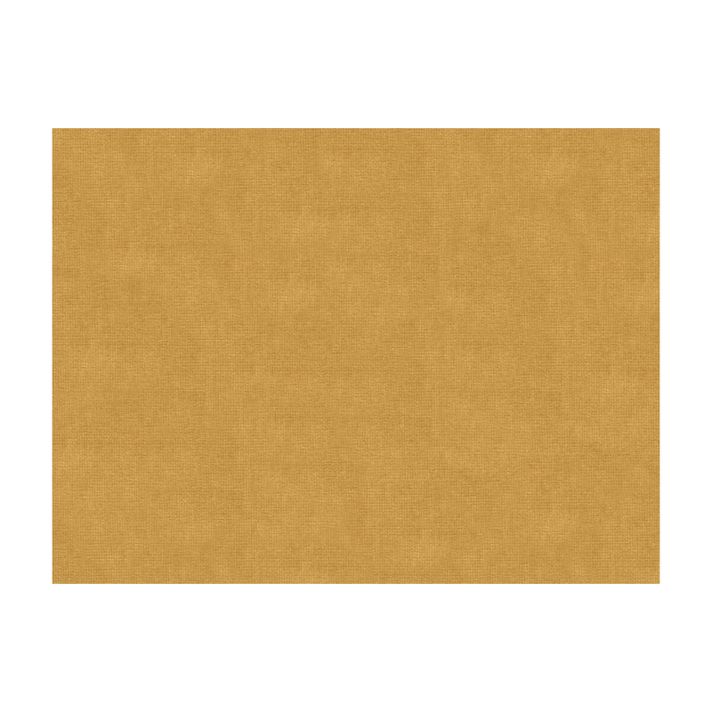 BRUNSCHWIG & FILS - CHARMANT VELVET- BEIGE - Fabric by the Yard BEIGE