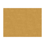 BRUNSCHWIG & FILS - CHARMANT VELVET- BEIGE - Fabric by the Yard