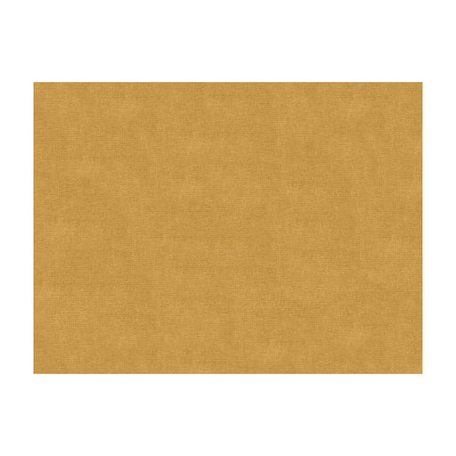 BRUNSCHWIG & FILS - CHARMANT VELVET- BEIGE - Fabric by the Yard BEIGE