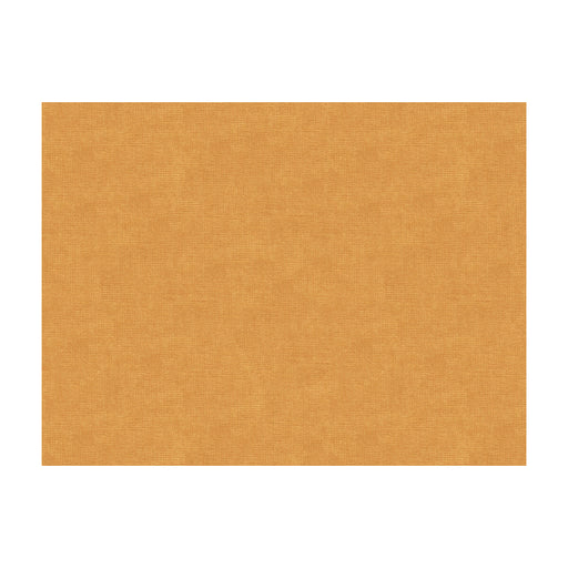 BRUNSCHWIG & FILS - CHARMANT VELVET- RAFFIA - Fabric by the Yard RAFFIA