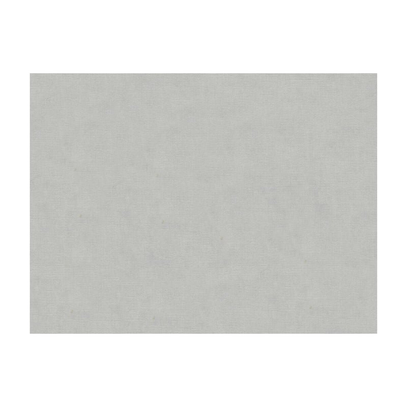 BRUNSCHWIG & FILS - CHARMANT VELVET- SILVER - Fabric by the Yard SILVER