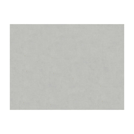 BRUNSCHWIG & FILS - CHARMANT VELVET- SILVER - Fabric by the Yard SILVER