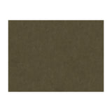 BRUNSCHWIG & FILS - CHARMANT VELVET- ASH - Fabric by the Yard