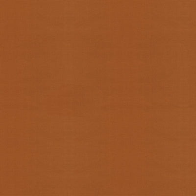 BRUNSCHWIG & FILS - FAILLE DU BARRY- TAN - Fabric by the Yard - 8013182_616