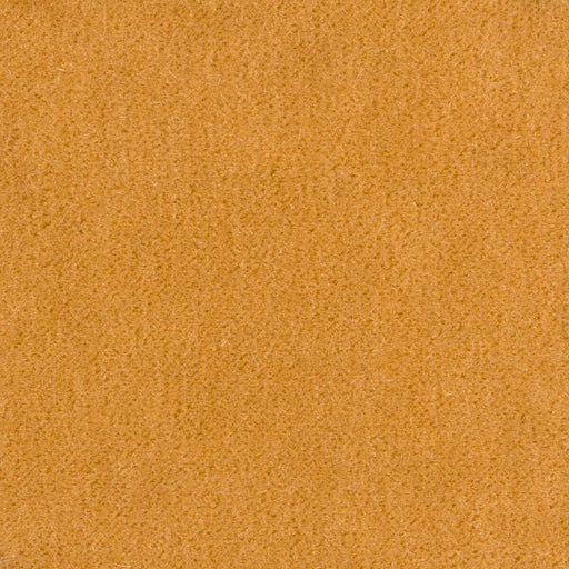 BRUNSCHWIG & FILS - BACHELOR MOHAIR- TAN - Fabric by the Yard TAN