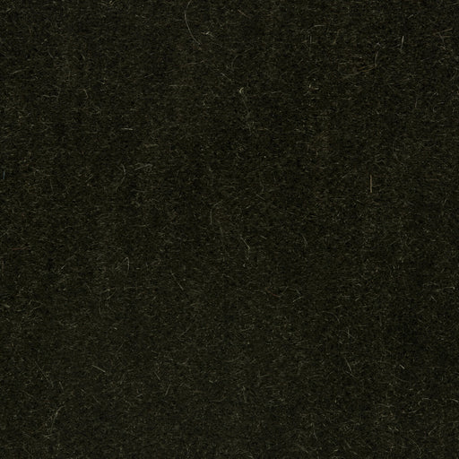 BRUNSCHWIG & FILS - BACHELOR MOHAIR- THYME - Fabric by the Yard THYME