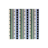 BRUNSCHWIG & FILS - RAYURE MOIRE- VERT - Fabric by the Yard