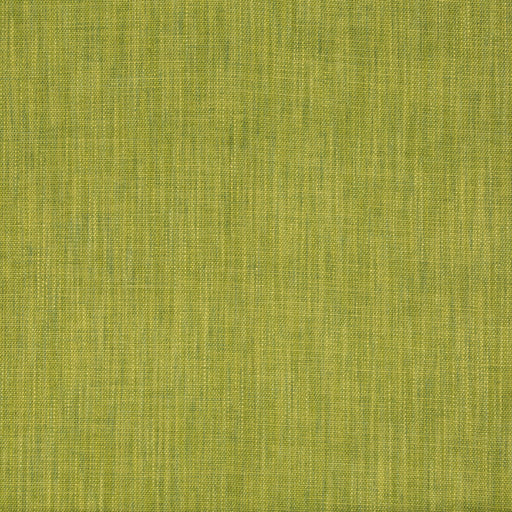 BRUNSCHWIG & FILS - PALAR TEXTURE- LEAF - Fabric by the Yard LEAF