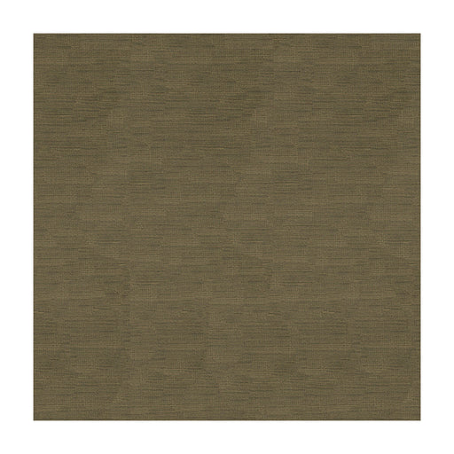 BRUNSCHWIG & FILS - LAZARE VELVET- DRIFTWOOD - Fabric by the Yard DRIFTWOOD