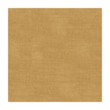 BRUNSCHWIG & FILS - LAZARE VELVET- CREAM - Fabric by the Yard