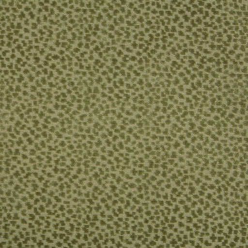 BRUNSCHWIG & FILS - LA PANTHERE VELVET- MOSS - Fabric by the Yard MOSS