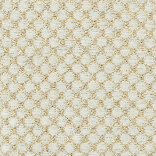 BRUNSCHWIG & FILS - ECRINS TEXTURE- PEARL - Fabric by the Yard PEARL
