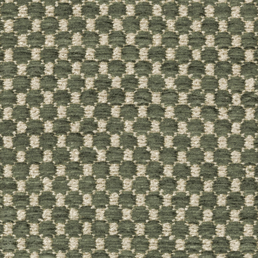 BRUNSCHWIG & FILS - ECRINS TEXTURE- AVOCADO - Fabric by the Yard AVOCADO