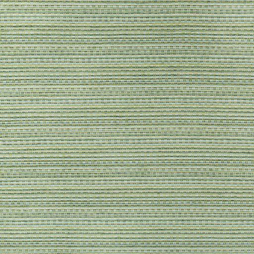 BRUNSCHWIG & FILS - ORELLE TEXTURE- FOREST - Fabric by the Yard FOREST